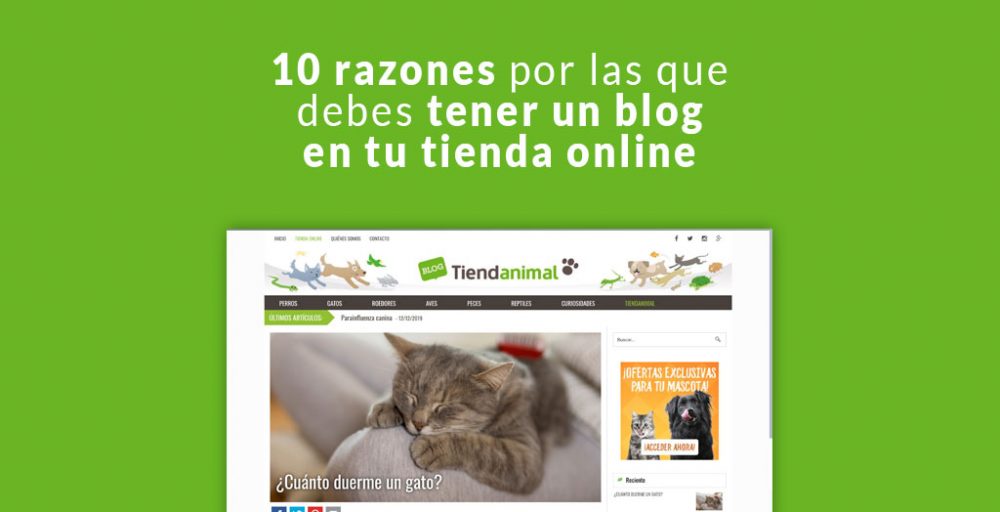 10 razones por las que debes tener un blog en tu tienda online ...
